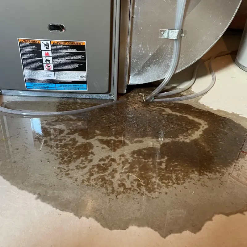 Appliance Leak Cleanup in Granger, IN